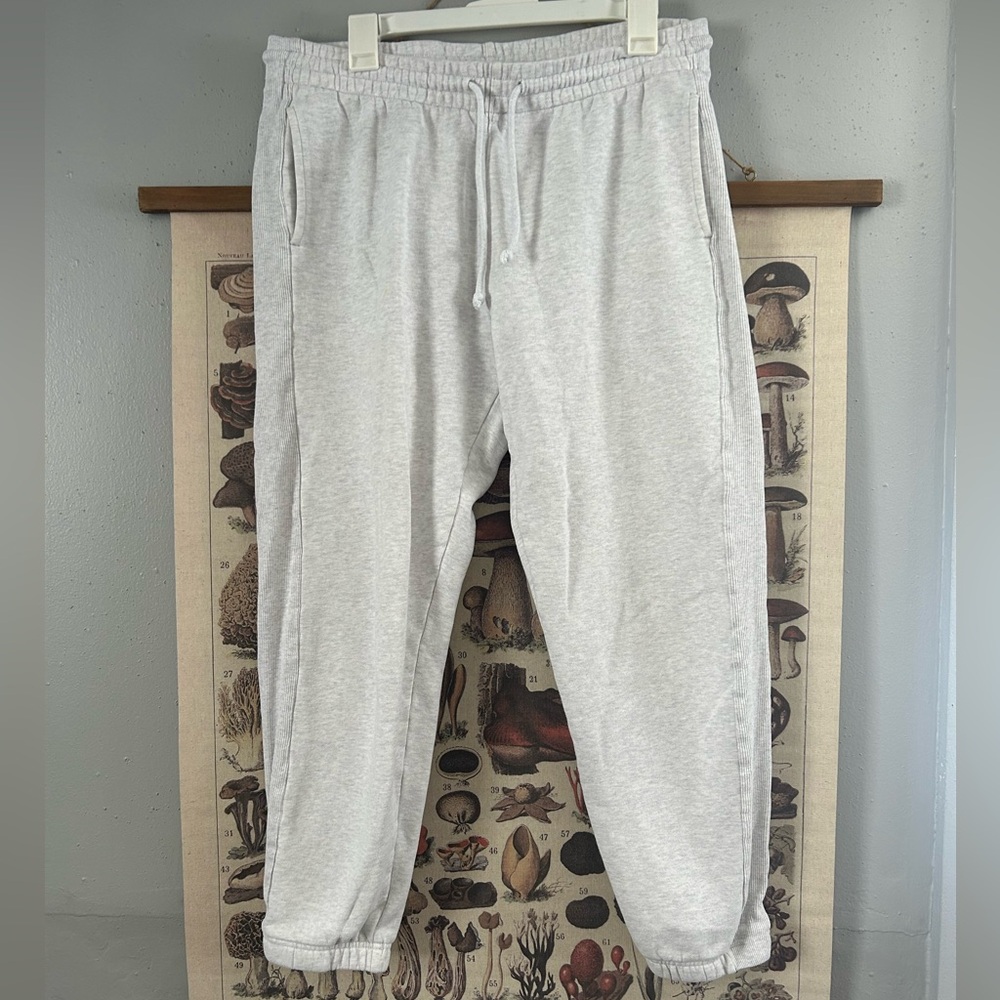 Aritzia Tna CozyAF Fleece Jogger Sweatpants Light Grey Large